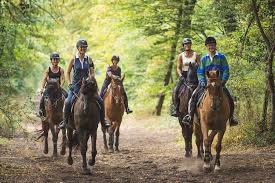 Image de Route 247