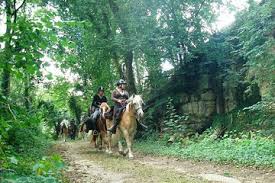 Image de Avilly st leonard0 001