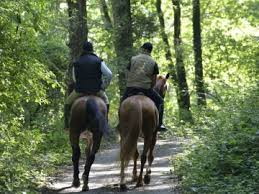 Image de Tracé 036